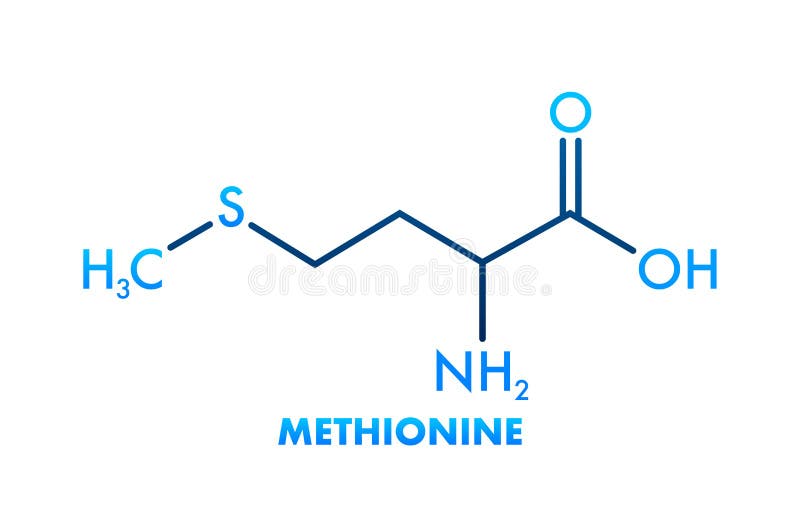 Icon with Methionine Formula. Amino Acid Molecule Stock Vector