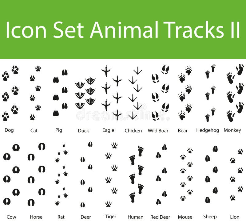 Download Icon Set Animal Tracks II stock vector. Illustration of ...