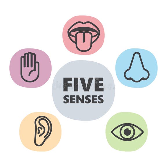 Five Human Senses Stock Illustrations – 862 Five Human Senses Stock ...