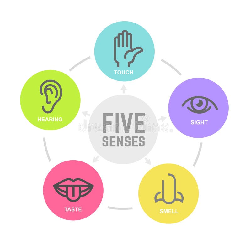 Five human senses stock vector. Illustration of listen - 122216370