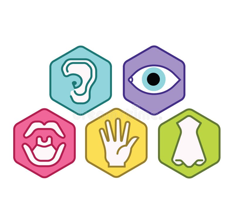 Icon set of five human senses vision eye, smell nose, hearing ear, touch hand, taste mouth. Simple line icon vector color illustra stock illustration Icon set of five human senses vision eye, smell nose, hearing ear, touch hand, taste mouth. Simple line icon vector color illustra stock illustration