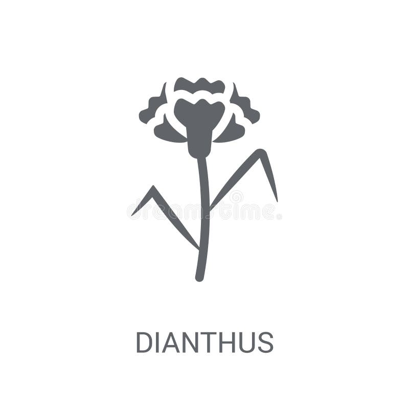 Icona del Dianthus Concetto d'avanguardia di logo del Dianthus su fondo bianco royalty illustrazione gratis Icona del Dianthus Concetto d'avanguardia di logo del Dianthus su fondo bianco royalty illustrazione gratis