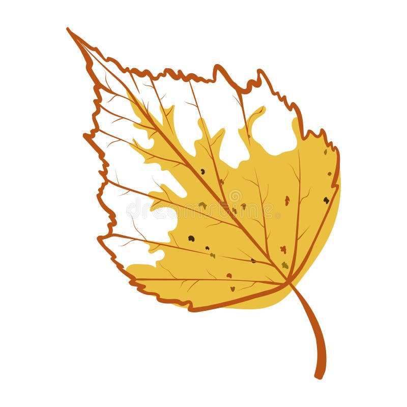 Icona della foglia autunnale di Birch, fogliame giallo stagionale royalty illustrazione gratis Icona della foglia autunnale di Birch, fogliame giallo stagionale royalty illustrazione gratis