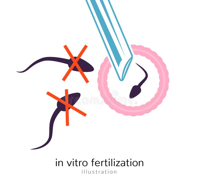 Icona di fertilizzazione in vitro Gravidanza medica di vitro di salute di sterilità isolata inseminazione biologica illustrazione di stock Icona di fertilizzazione in vitro Gravidanza medica di vitro di salute di sterilità isolata inseminazione biologica illustrazione di stock