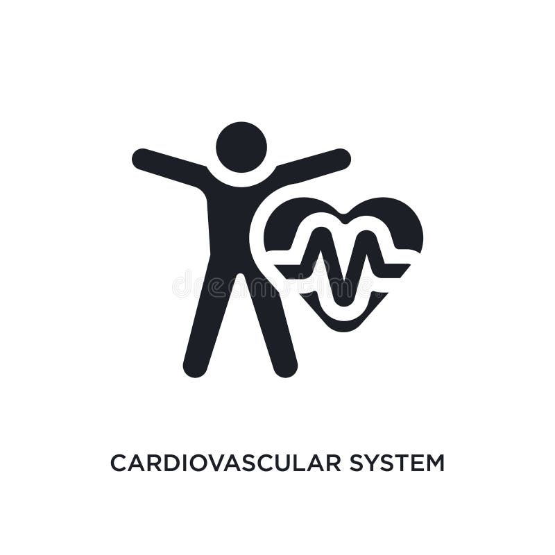 icona di vettore isolata apparato cardiovascolare nero illustrazione semplice dell'elemento dalle icone di vettore di concetto di illustrazione vettoriale icona di vettore isolata apparato cardiovascolare nero illustrazione semplice dell'elemento dalle icone di vettore di concetto di illustrazione vettoriale