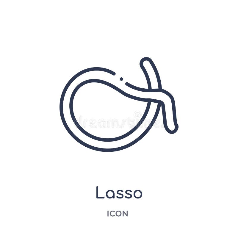 Icona lineare del lazo dalla raccolta del profilo del deserto Linea sottile vettore del lazo isolato su fondo bianco illustrazion royalty illustrazione gratis Icona lineare del lazo dalla raccolta del profilo del deserto Linea sottile vettore del lazo isolato su fondo bianco illustrazion royalty illustrazione gratis