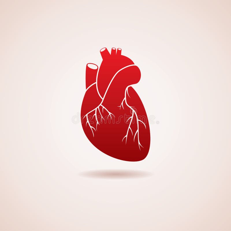 Icona umana del cuore illustrazione vettoriale Icona umana del cuore illustrazione vettoriale