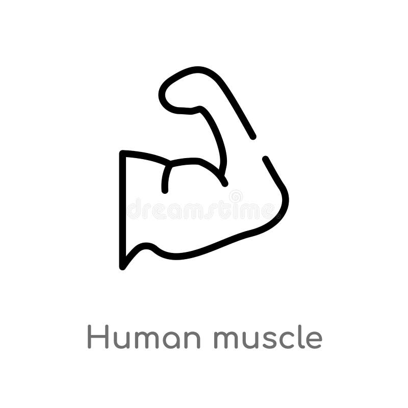 icona umana di vettore del muscolo del profilo linea semplice nera isolata illustrazione dell'elemento dal concetto umano delle p royalty illustrazione gratis icona umana di vettore del muscolo del profilo linea semplice nera isolata illustrazione dell'elemento dal concetto umano delle p royalty illustrazione gratis