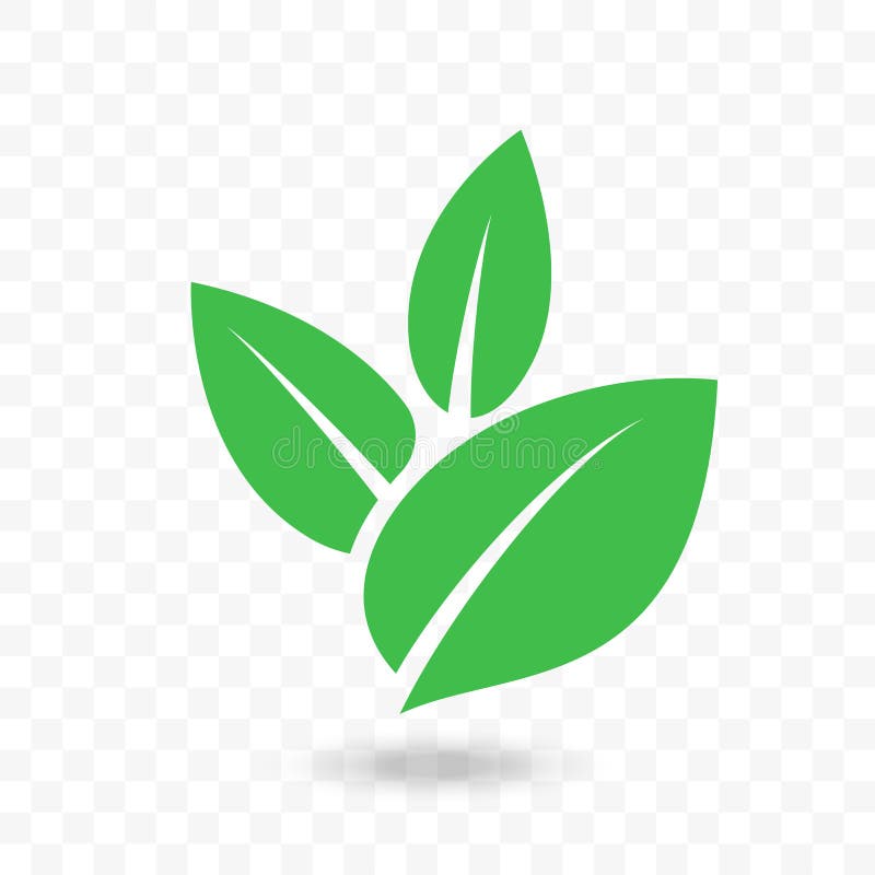 Icona verde per il vegano, bio- progettazione di vettore della foglia di eco