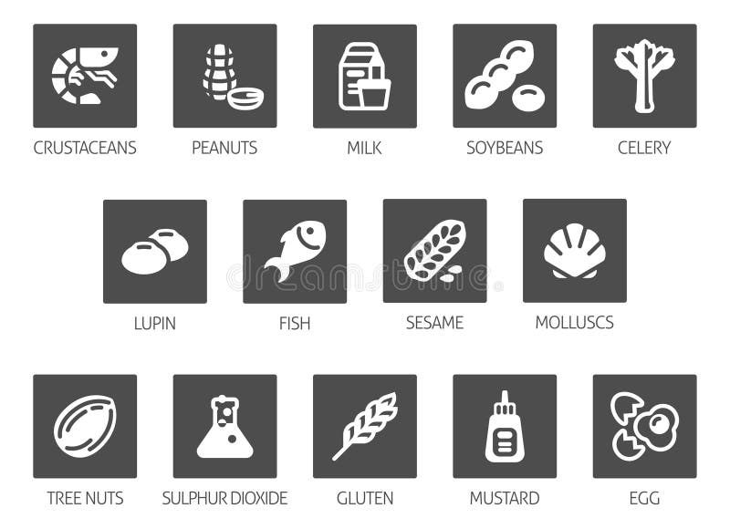 Food allergen allergy icons. include big 8 FDA Major Allergens and 14 food allergies from the EU Food Information for Consumers Regulation EFSA European Food Safety Authority Annex II. Food allergen allergy icons. include big 8 FDA Major Allergens and 14 food allergies from the EU Food Information for Consumers Regulation EFSA European Food Safety Authority Annex II