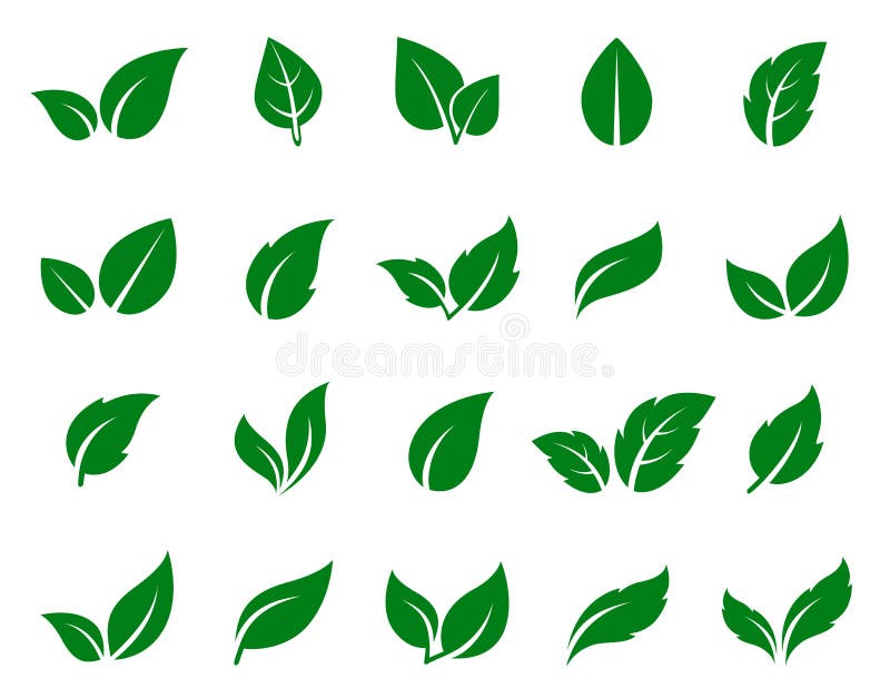 Icone verdi del foglio impostate