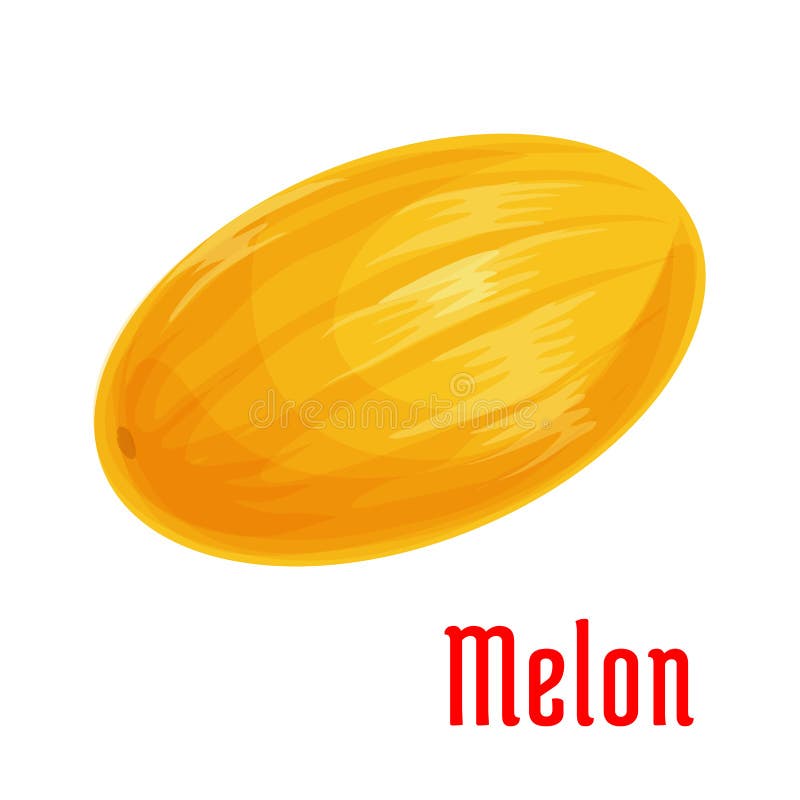 Icono aislado fruta del melón para el diseño de la comida stock de ilustración Icono aislado fruta del melón para el diseño de la comida stock de ilustración