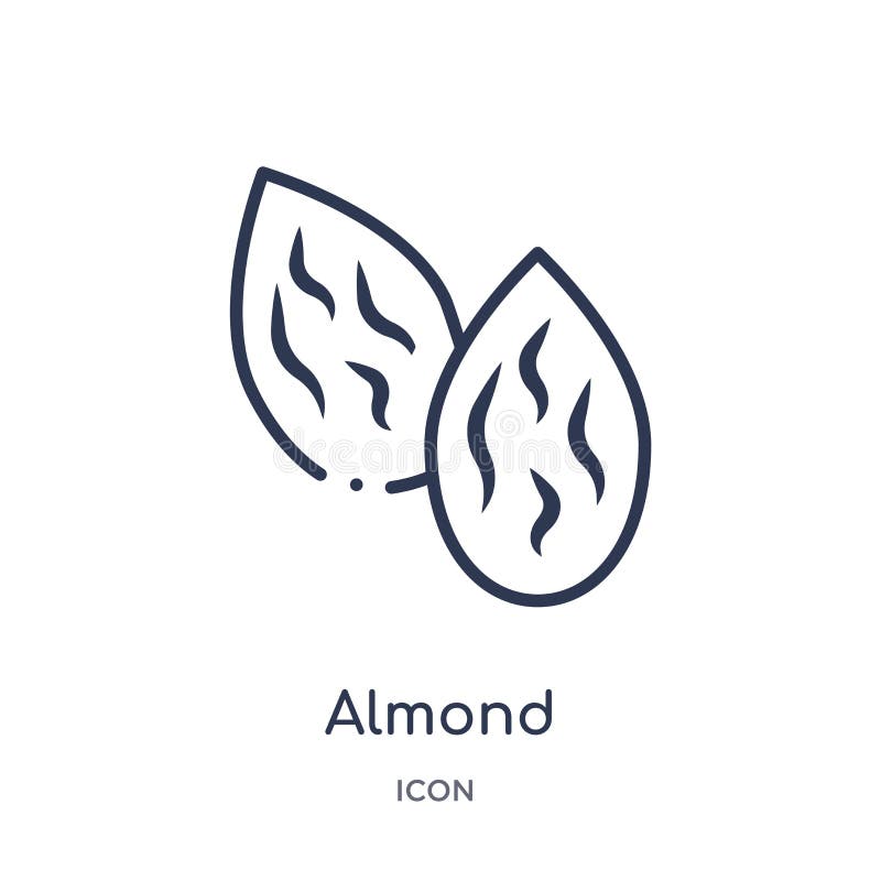 Icono de la almendra de la colección del esquema de la naturaleza Línea fina icono de la almendra aislado en el fondo blanco stock de ilustración Icono de la almendra de la colección del esquema de la naturaleza Línea fina icono de la almendra aislado en el fondo blanco stock de ilustración