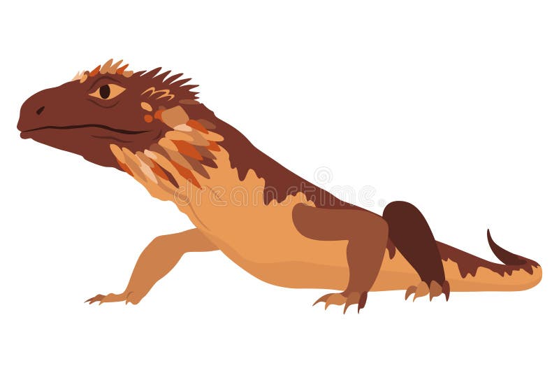 Icono de lagartija. anfibio colorido tropical. carácter de fauna en la fauna silvestre o en el zoo. criatura colorida de la vida s libre illustration
