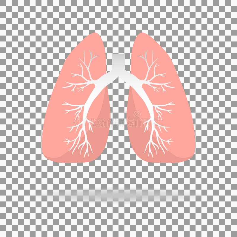 Icono de los pulmones, estilo plano Órganos internos del elemento humano del diseño, logotipo r Atención sanitaria Aislado en piz ilustración del vector Icono de los pulmones, estilo plano Órganos internos del elemento humano del diseño, logotipo r Atención sanitaria Aislado en piz ilustración del vector