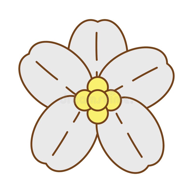 Icono De Relleno De Flores Blancas Ilustración del Vector - Ilustración de  belleza, planta: 202598151