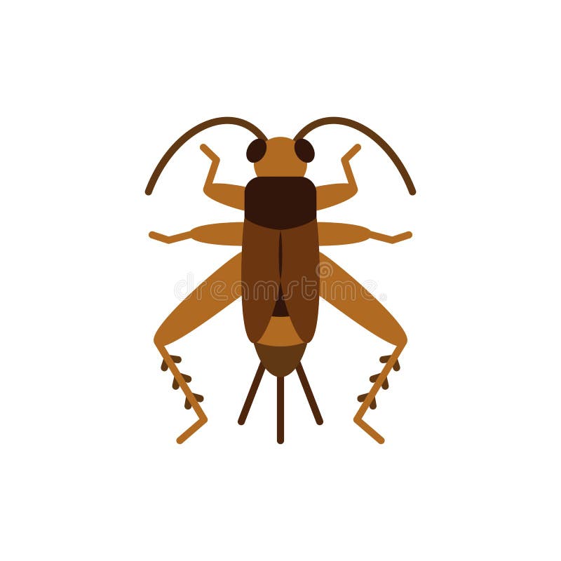 Icono de vector plano Ãºnico de grig de cricket Bug