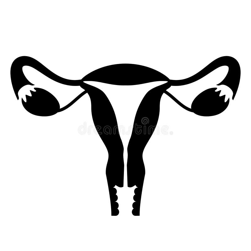 Icono de vector útero