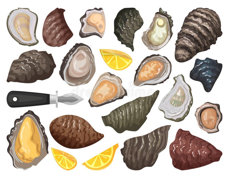 Icono Del Conjunto De Dibujos Animados Aislados De Ostiones. Conjunto De Dibujos Animados Vectores Icono Mariscos Alimentos. Ostió Ilustración del Vector - Ilustración de cocina, fondo: 179829776 Icono Del Conjunto De Dibujos Animados Aislados De Ostiones. Conjunto De Dibujos Animados Vectores Icono Mariscos Alimentos. Ostió Ilustración del Vector - Ilustración de cocina, fondo: 179829776