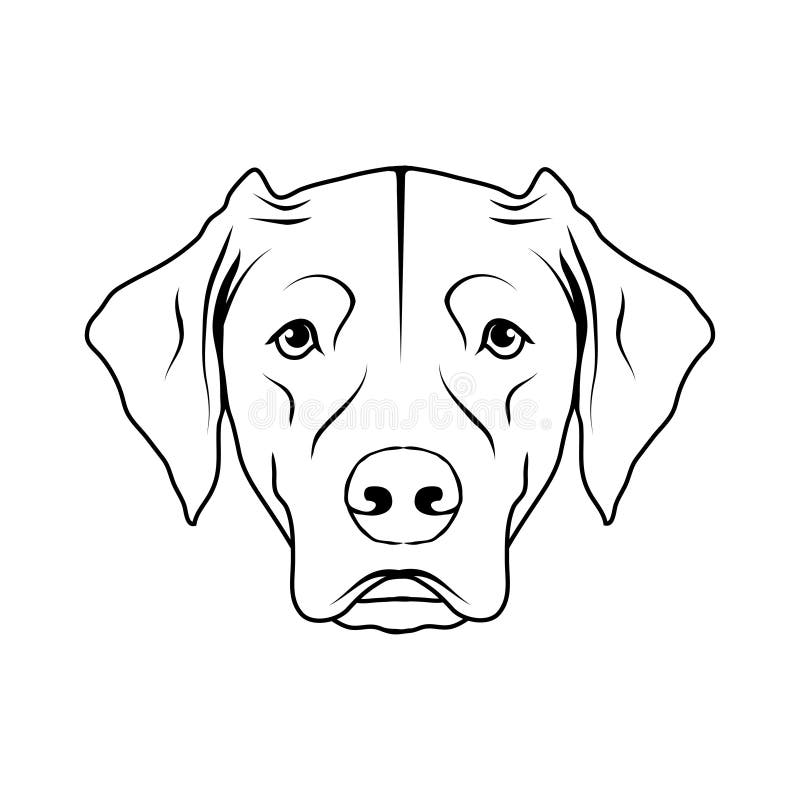 Icono del perro de Labrador libre illustration Icono del perro de Labrador libre illustration