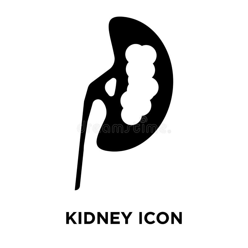Icono del riñón aislado en el fondo blanco, concepto del logotipo de libre illustration Icono del riñón aislado en el fondo blanco, concepto del logotipo de libre illustration
