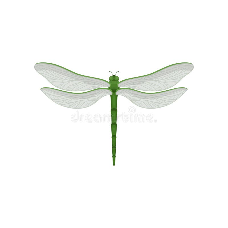 Icono del vector de Flar de la libélula hermosa con el cuerpo del verde largo y dos pares de alas transparentes grandes De vuelo libre illustration Icono del vector de Flar de la libélula hermosa con el cuerpo del verde largo y dos pares de alas transparentes grandes De vuelo libre illustration