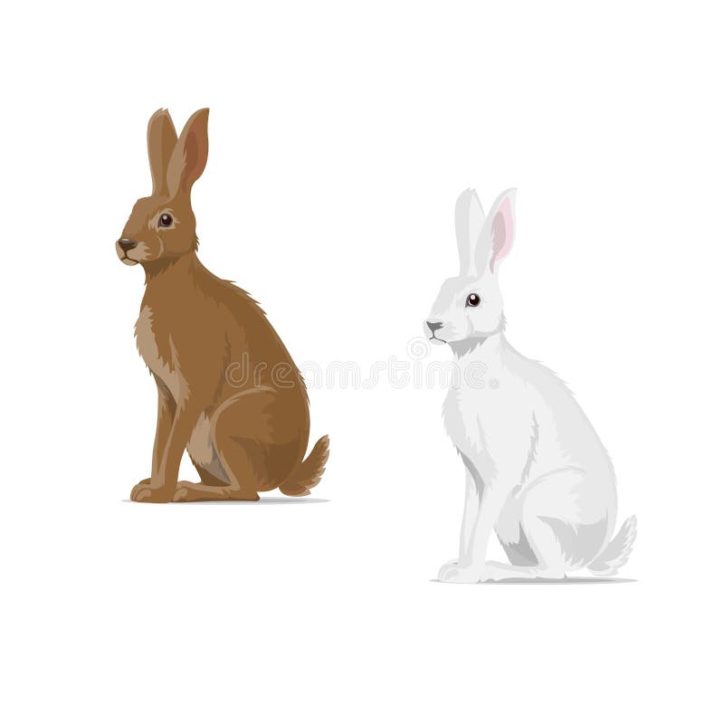Icono plano animal del vector de las liebres del conejo ilustración del vector Icono plano animal del vector de las liebres del conejo ilustración del vector