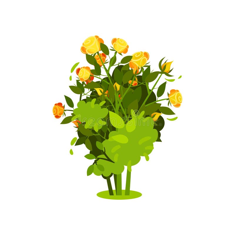 Icono plano del vector del arbusto con las rosas amarillo-naranja brillantes y las hojas verdes Arbusto con las flores hermosas P ilustración del vector Icono plano del vector del arbusto con las rosas amarillo-naranja brillantes y las hojas verdes Arbusto con las flores hermosas P ilustración del vector