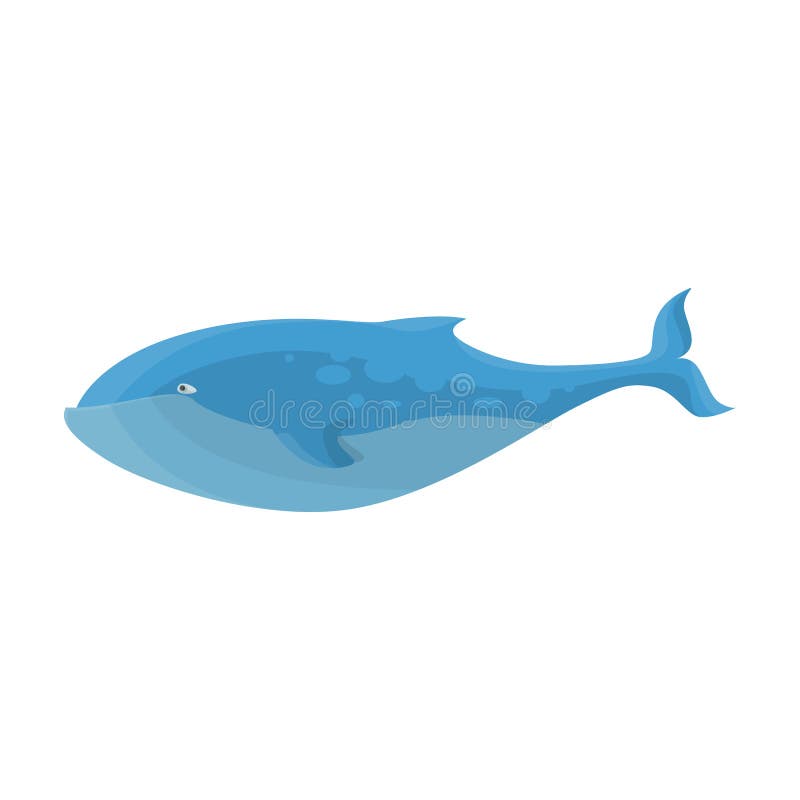 Icono vectorial de ballena azul Icono vectorial de caricatura aislado en ballena azul de fondo blanco stock de ilustración