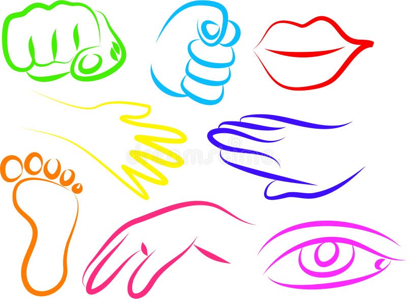 Iconos de la anatomía ilustración del vector Iconos de la anatomía ilustración del vector