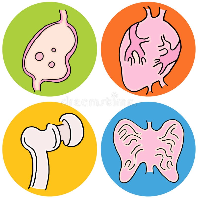 Iconos de la biología humana ilustración del vector Iconos de la biología humana ilustración del vector