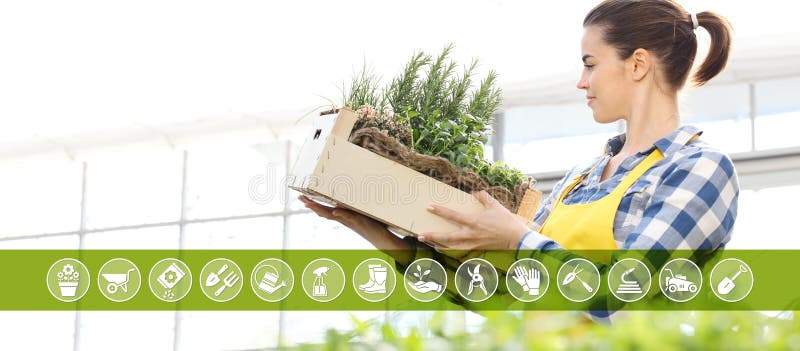 Iconos del comercio electrónico del equipo que cultiva un huerto, mujer sonriente con la caja de madera por completo de hierbas d libre illustration