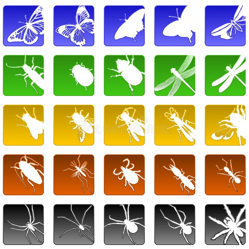 Iconos del insecto