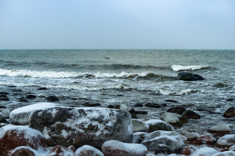 Icy rocks on the beach, sea shore in ice and snow in winter