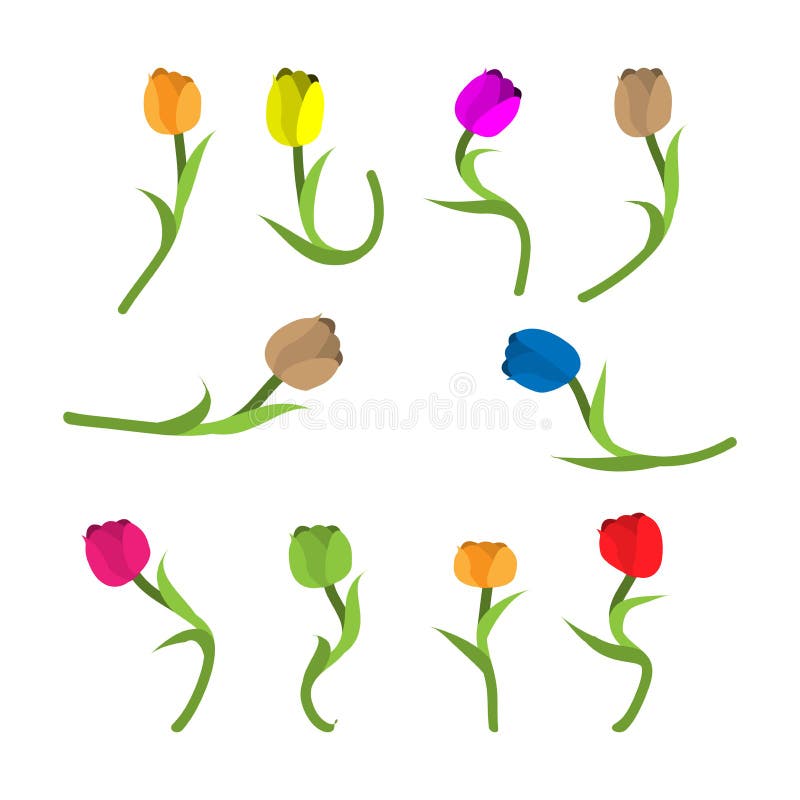 Icône colorée de vecteur de tulipe Conception plate illustration de vecteur Icône colorée de vecteur de tulipe Conception plate illustration de vecteur