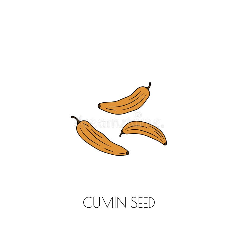 Icône de graines de cumin illustration stock Icône de graines de cumin illustration stock