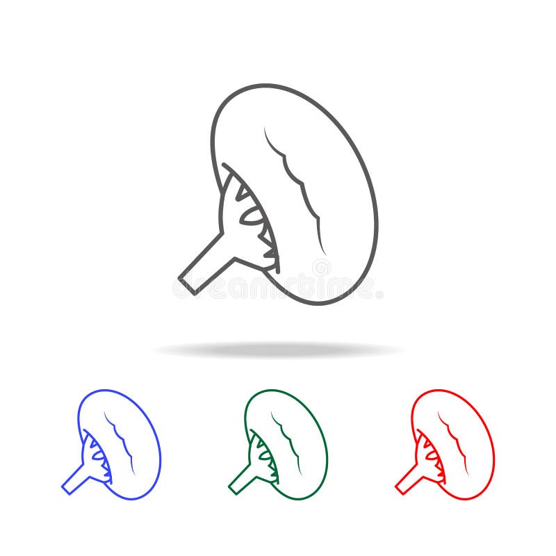 Icône de rate Éléments des icônes colorées multi de pièces de corps humain Icône de la meilleure qualité de conception graphique illustration libre de droits Icône de rate Éléments des icônes colorées multi de pièces de corps humain Icône de la meilleure qualité de conception graphique illustration libre de droits