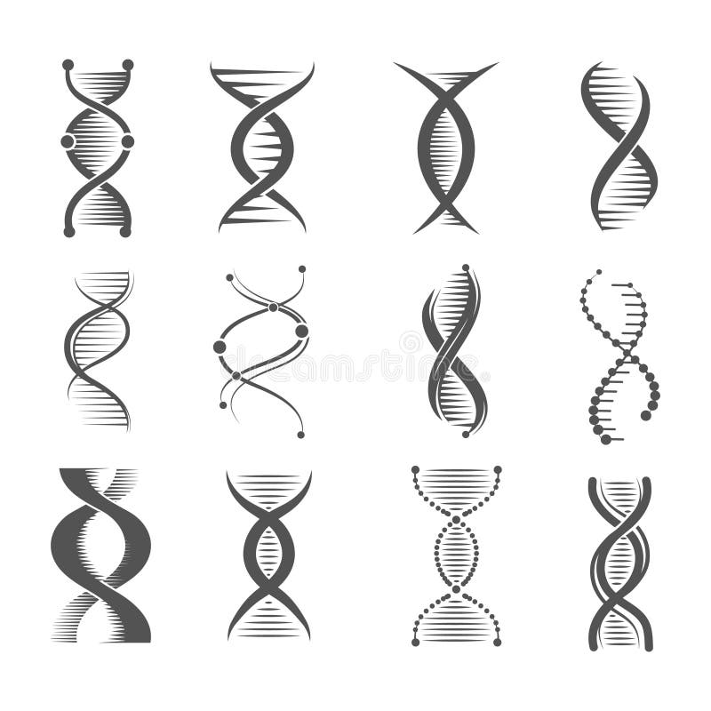 Icônes de spirale d'ADN Symboles médicaux et pharmaceutiques humains de molécule et de chromosome de recherches de technologie d' illustration de vecteur Icônes de spirale d'ADN Symboles médicaux et pharmaceutiques humains de molécule et de chromosome de recherches de technologie d' illustration de vecteur