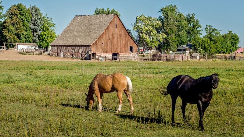 Idaho Farm With Horses And A Barn Stock Photo - Image of ...