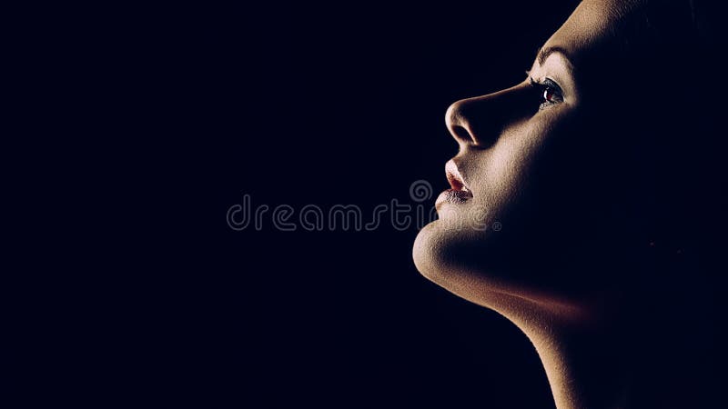 Silhouette of beautiful profile of female head concept beauty and fashion  Stock Photo by ©fantom_rd 173922990