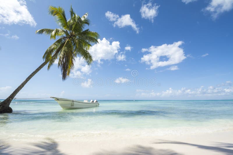 Idealic Caribbean coastline with boat