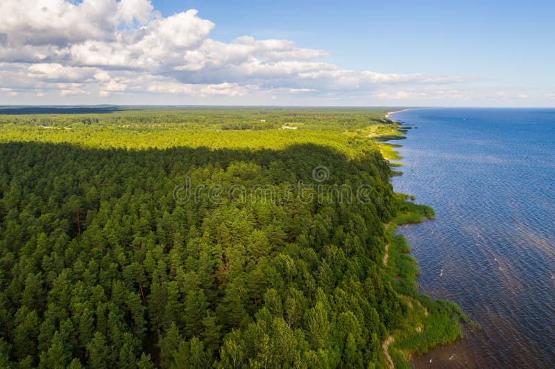 Vista aérea da linha costeira num dia de verão. Lago e floresta fotos de stock