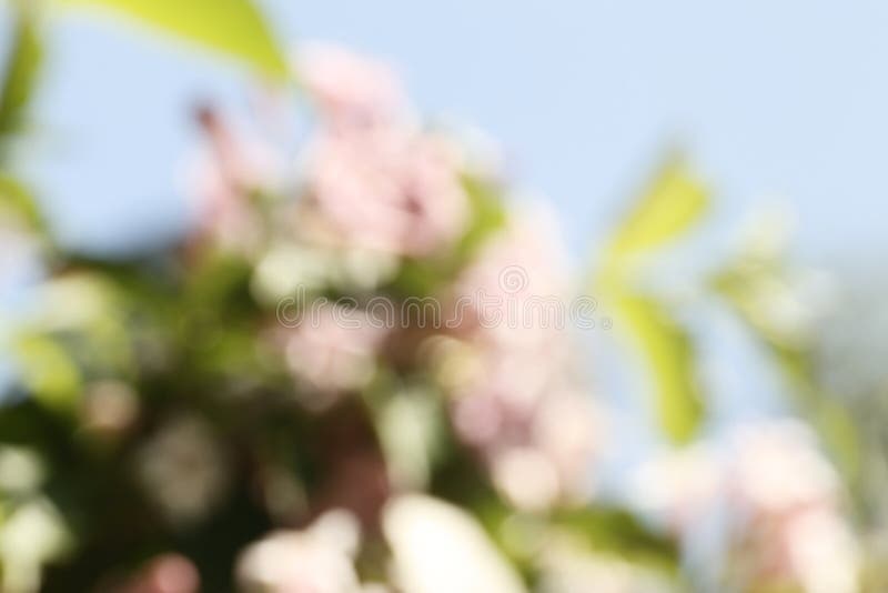 Ideia borrada do fundo verde abstrato Efeito de Bokeh foto de stock royalty free Ideia borrada do fundo verde abstrato Efeito de Bokeh foto de stock royalty free