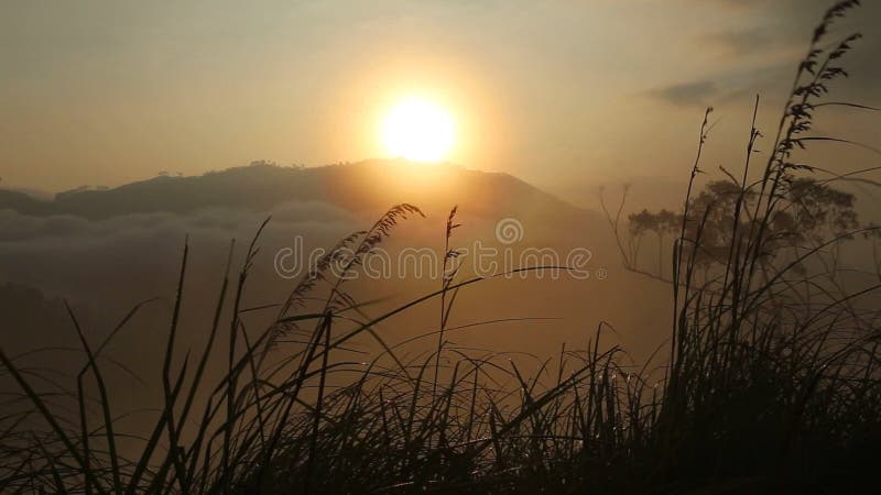 Ideia de um nascer do sol nevoento no pico do Adam pequeno em Ella Ella é uma cidade sonolento pequena bonita na borda do sul de