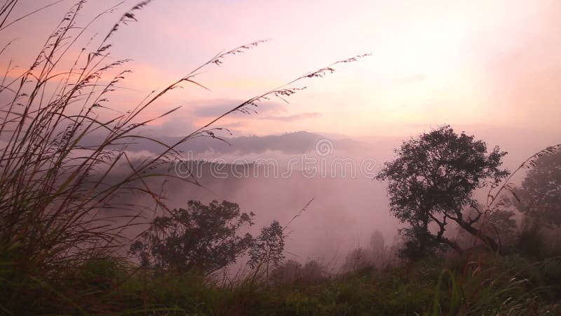 Ideia do nascer do sol nevoento no pico do Adam pequeno em Ella, Sri Lanka