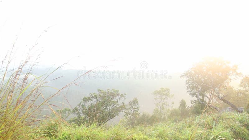 Ideia do nascer do sol nevoento no pico do Adam pequeno em Ella, Sri Lanka