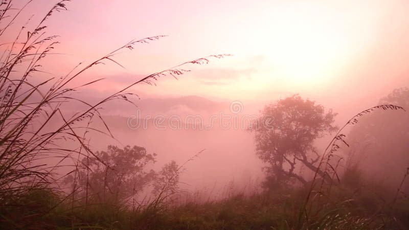 Ideia do nascer do sol nevoento no pico do Adam pequeno em Ella, Sri Lanka