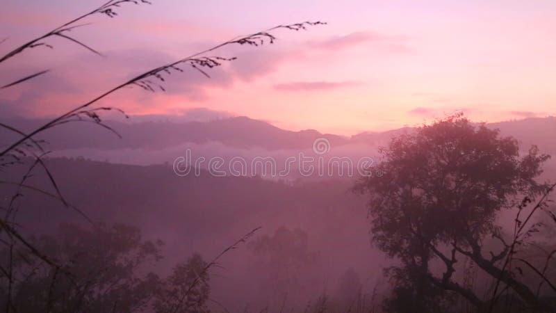 Ideia do nascer do sol nevoento no pico do Adam pequeno em Ella, Sri Lanka