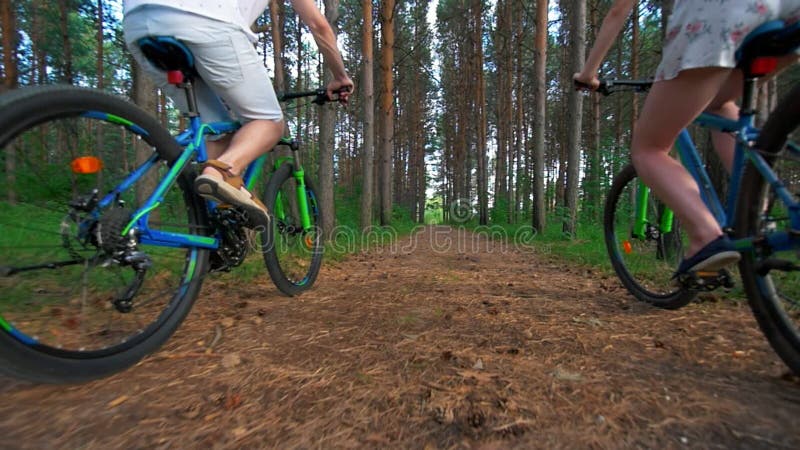 Ideia traseira do ciclismo novo dos pares através da floresta do verão