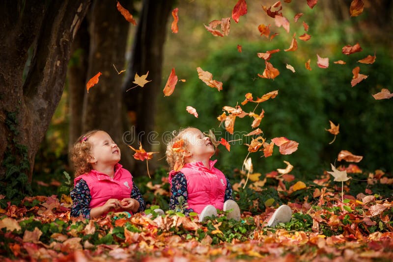 Identical twins having fun with autumn leaves in the park, blond cute curly girls, happy kids, beautiful girls in pink jackets stock photo Identical twins having fun with autumn leaves in the park, blond cute curly girls, happy kids, beautiful girls in pink jackets stock photo